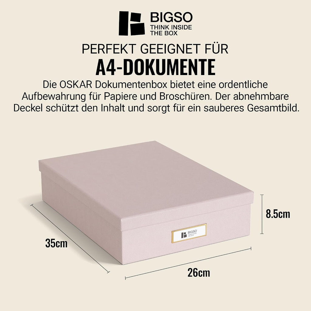 BIGSO OSKAR A4 Document Box - Storage Box with Lid and Handle - Desk Tray for Paper, Brochures & Documents - Shelf