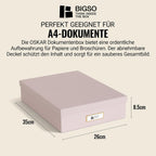 BIGSO OSKAR A4 Document Box - Storage Box with Lid and Handle - Desk Tray for Paper, Brochures & Documents - Shelf
