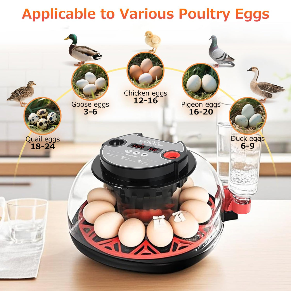 12 Egg Incubators for Hatching Eggs Automatic Egg Incubator with Temperature Control Humidity Control and Display for