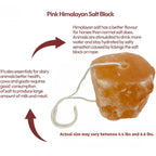 Himalayan Salt Lick Block on Rope, 4.4-6.6 Lbs