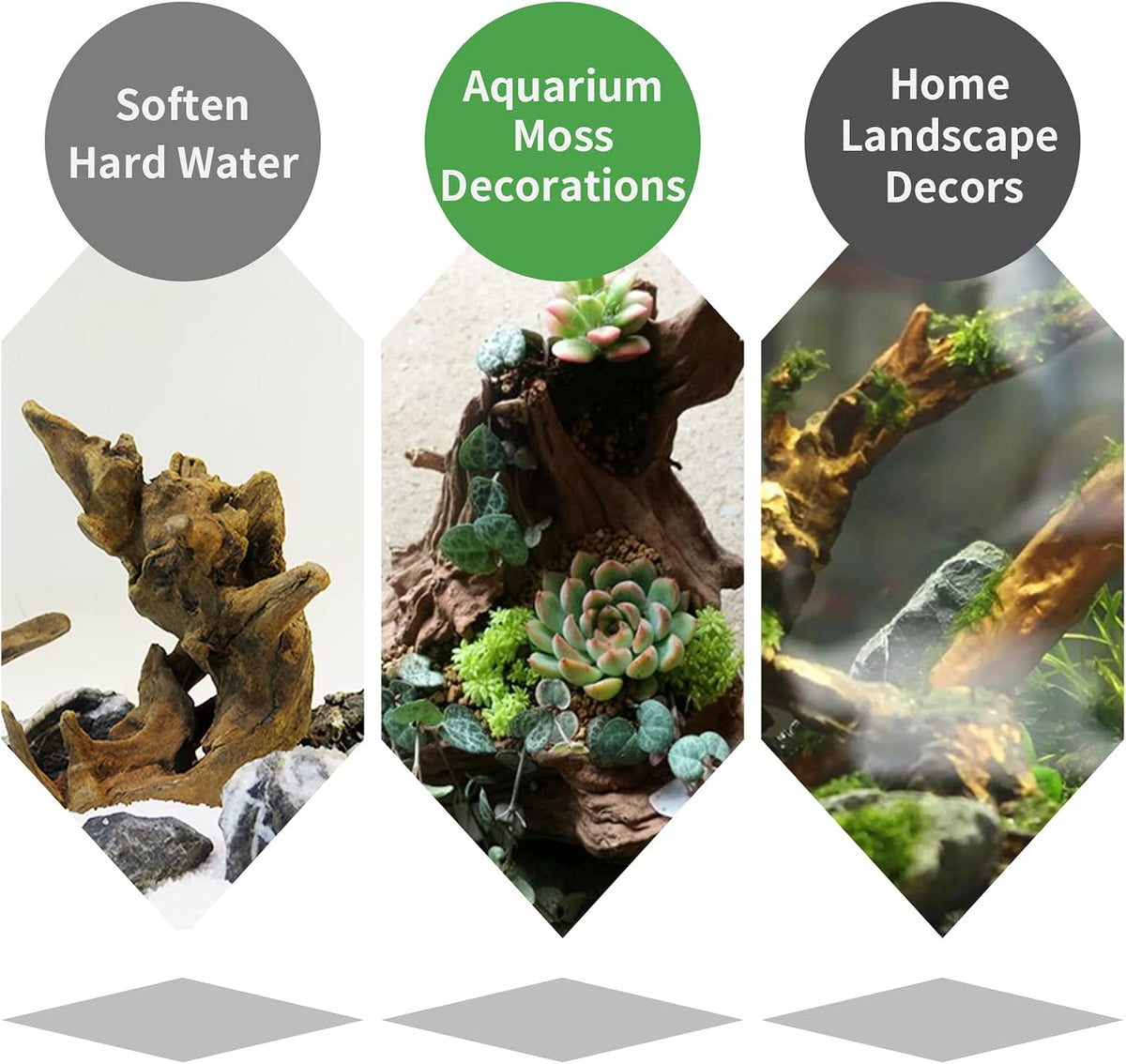 5 Pcs Driftwood Branches 5.5"-8.6" Aquarium Wood Decoration