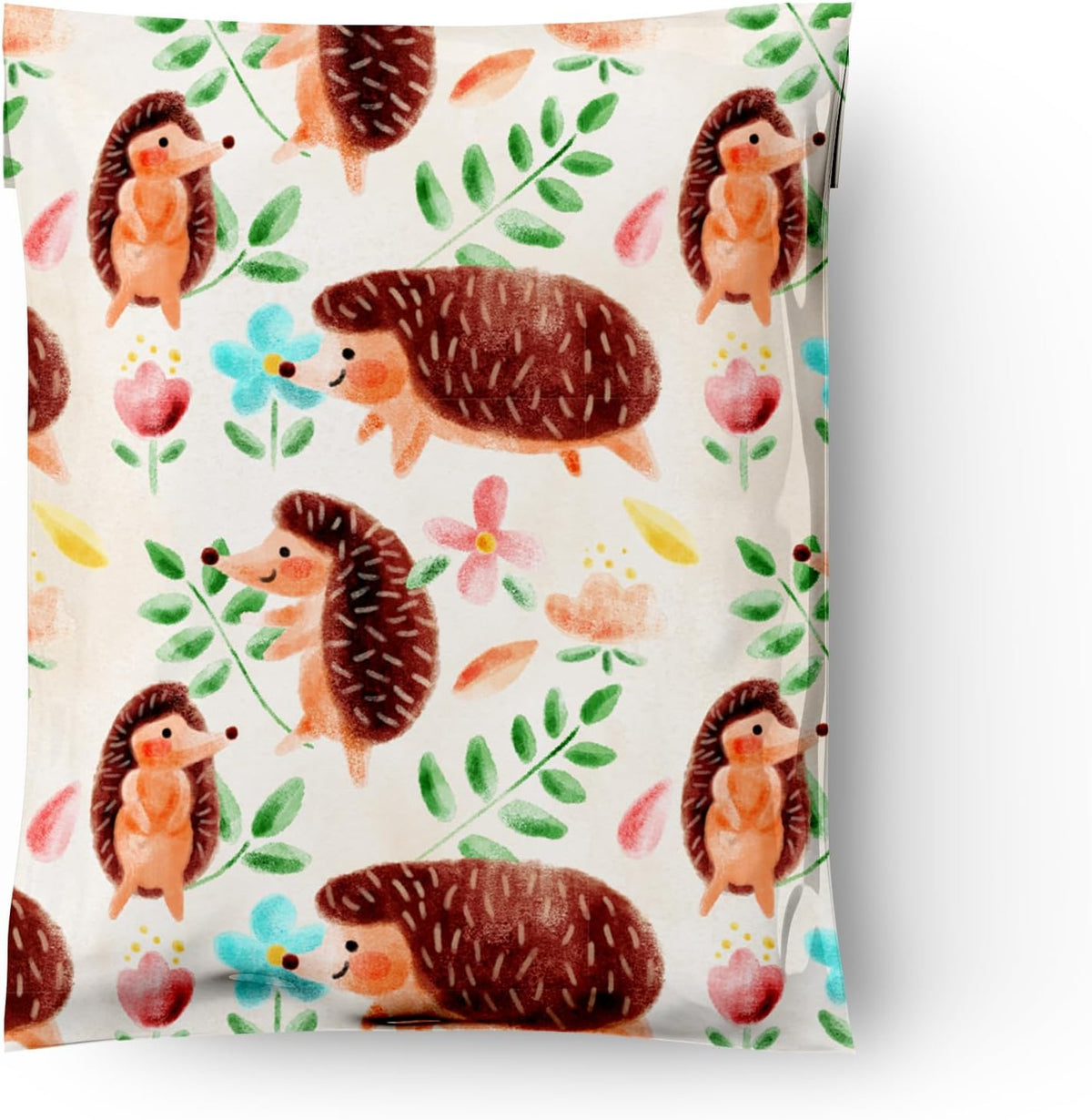 10x13 (100) Hedgehogs Designer Poly Mailers Shipping Envelopes Premium Printed Bags