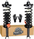 Rear Strut Shock Assembly w/Coil Spring Fit for Honda Accord