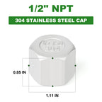 TAISHER 10Pcs 304 SS Cap Pipe Plug Socket Fitting 1/2" NPT Female