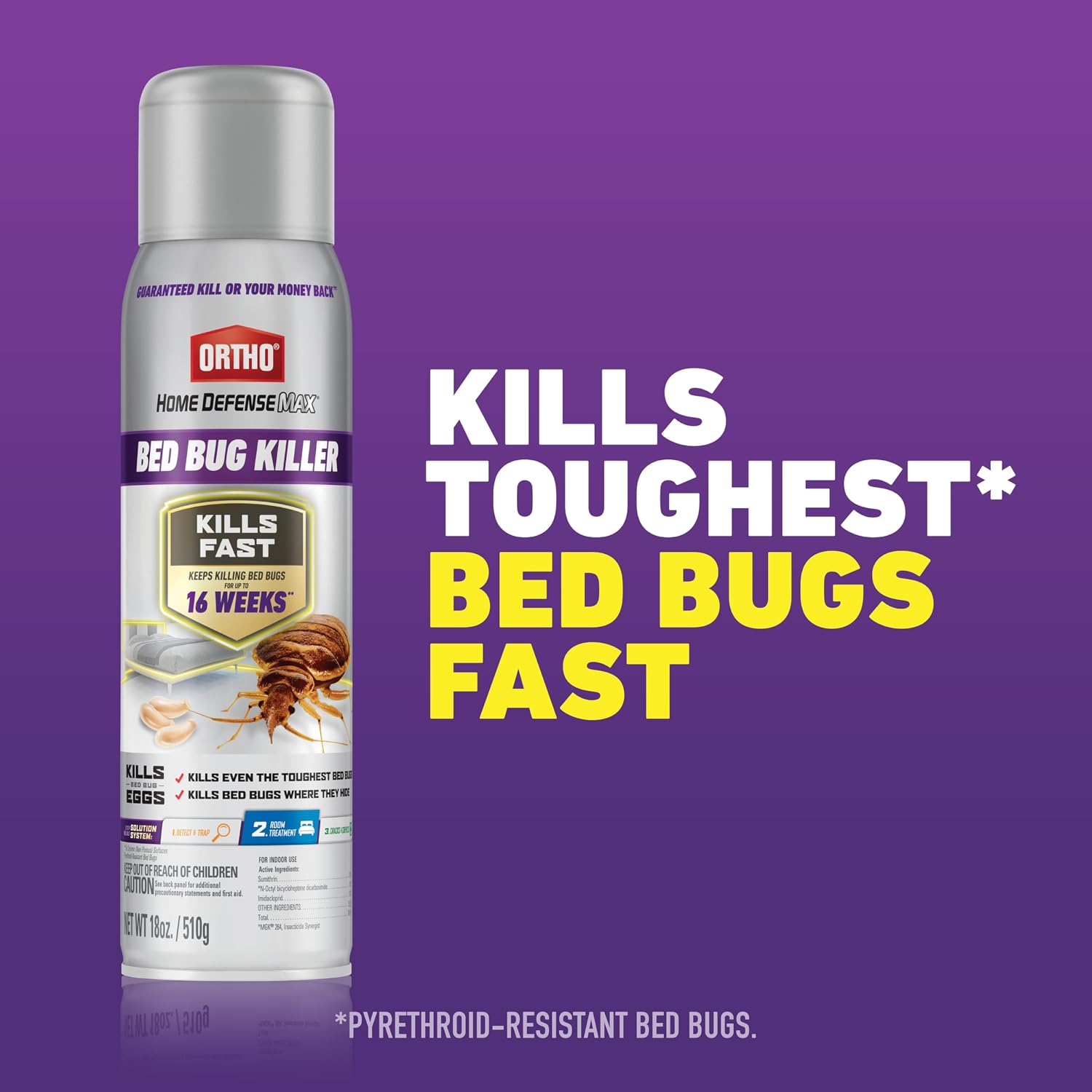 Home Defense Max Bed Bug Killer, Aerosol, 18 oz. | Bed Bug Spray for Home, Also Kills Fleas & Brown Dog Ticks, Spot