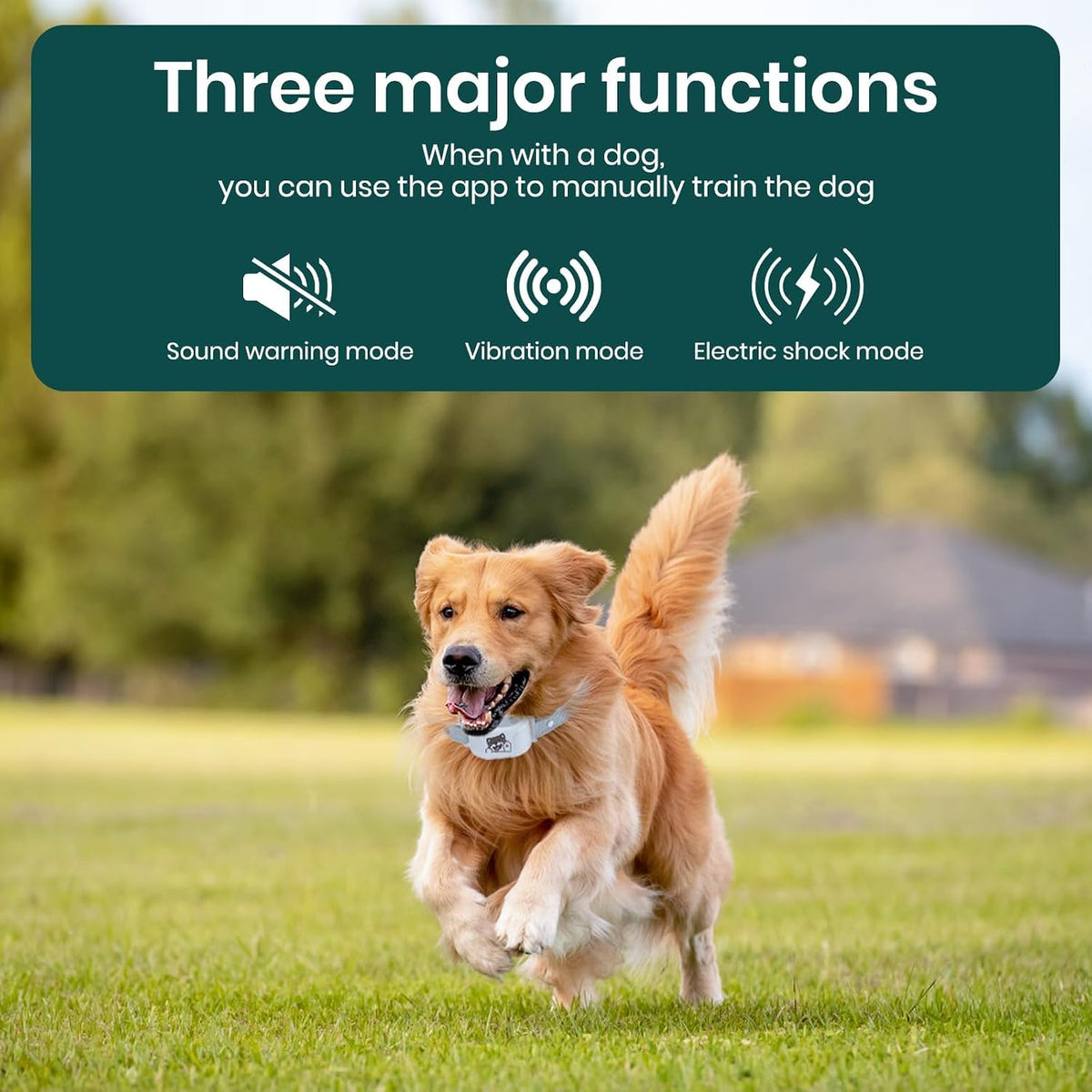 GPS Dog Fence, Wireless Training Collar- No Subscription Required, Customizable Boundaries via App 3280 FT, IPX7
