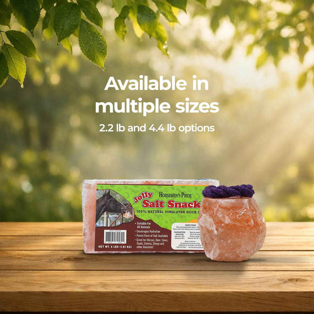Himalayan Salt Block on Rope for Horses, 4.4 Pounds, SS44