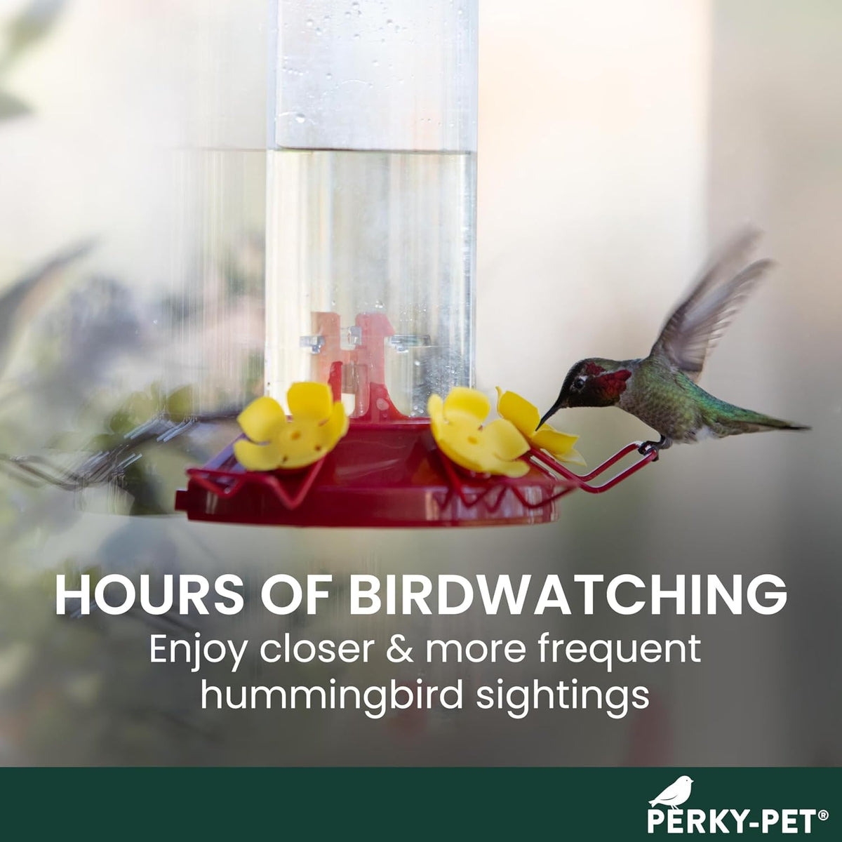 Window Mount Hummingbird Feeder, 8 oz Nectar Capacity