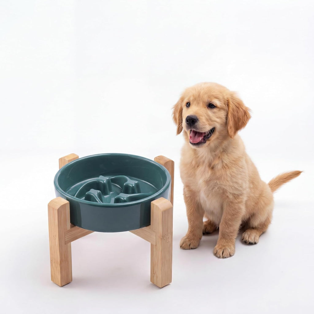 Ceramic Slow Feeder/Dog Bowl for Small Medium Dogs,Elevated/Raised Slow Feeding Dog Food Water Dish Heavy