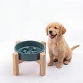 Ceramic Slow Feeder/Dog Bowl for Small Medium Dogs,Elevated/Raised Slow Feeding Dog Food Water Dish Heavy