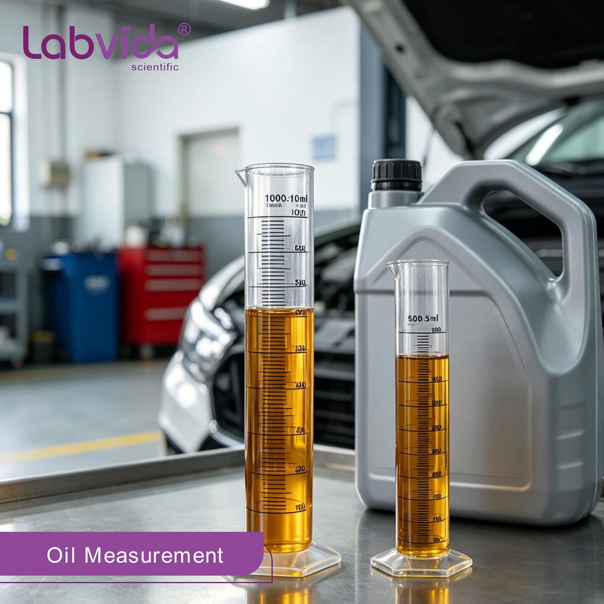 Labvida 2pcs Plastic Autoclavable Graduated Cylinders, 500ml 1000ml, LVF004