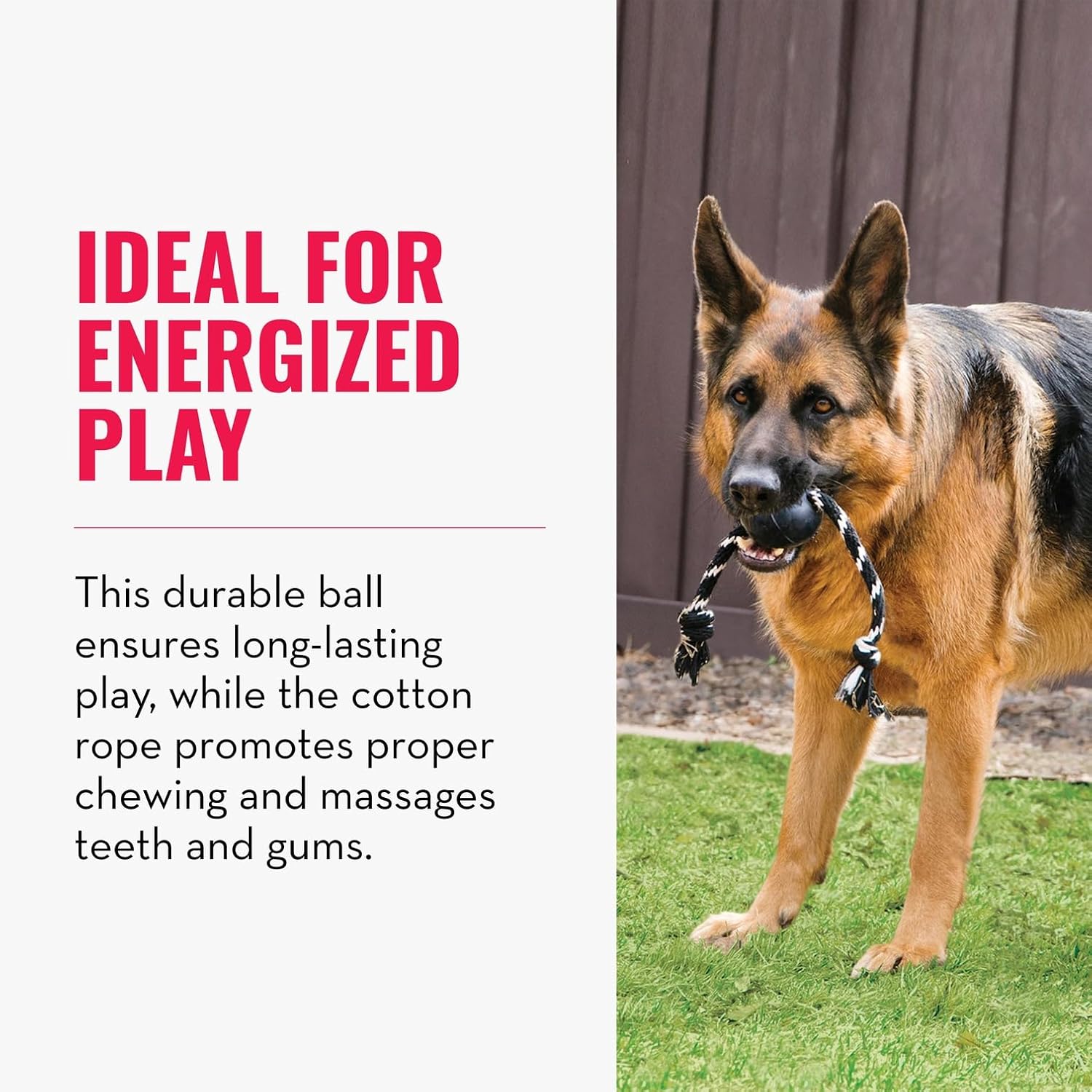 Extreme Ball with Rope - Dog Fetch Toy with Rope for Easy Throwing - Durable Dog Ball Toy for Tug, Playtime & More s