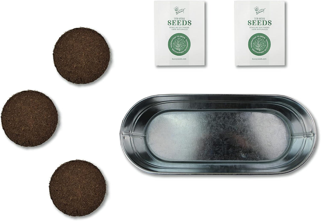 Seeds My First Garden Windowsill Grow Kit, Tomato and Marigold Seeds, Indoor Gardening Starter Set for Beginners, Fun