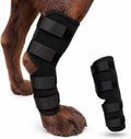 Dog Knee Brace for Hind Leg, Dog Hock Brace for Back Leg Support, Adjustable ACL CCL Brace for Dogs, Rear Leg Support