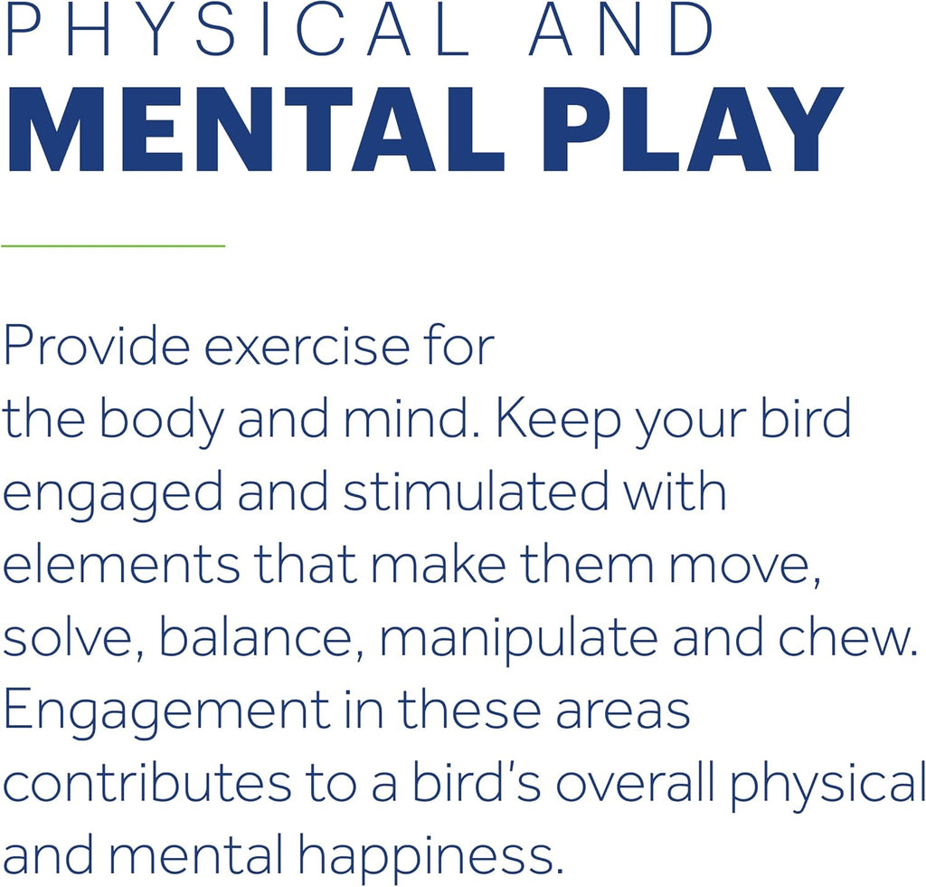 Rope Ladder Bird Toy Hanging Birdcage Toy for Climbing | Accessories for Small to Medium Birds, Foot Exercise, Beak