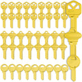 Key Blanks in Premium Quality Brass Assortment | Uncut Key Blanks 20 KW1, 20 SC1, 10 M1 for Home and Professional Use