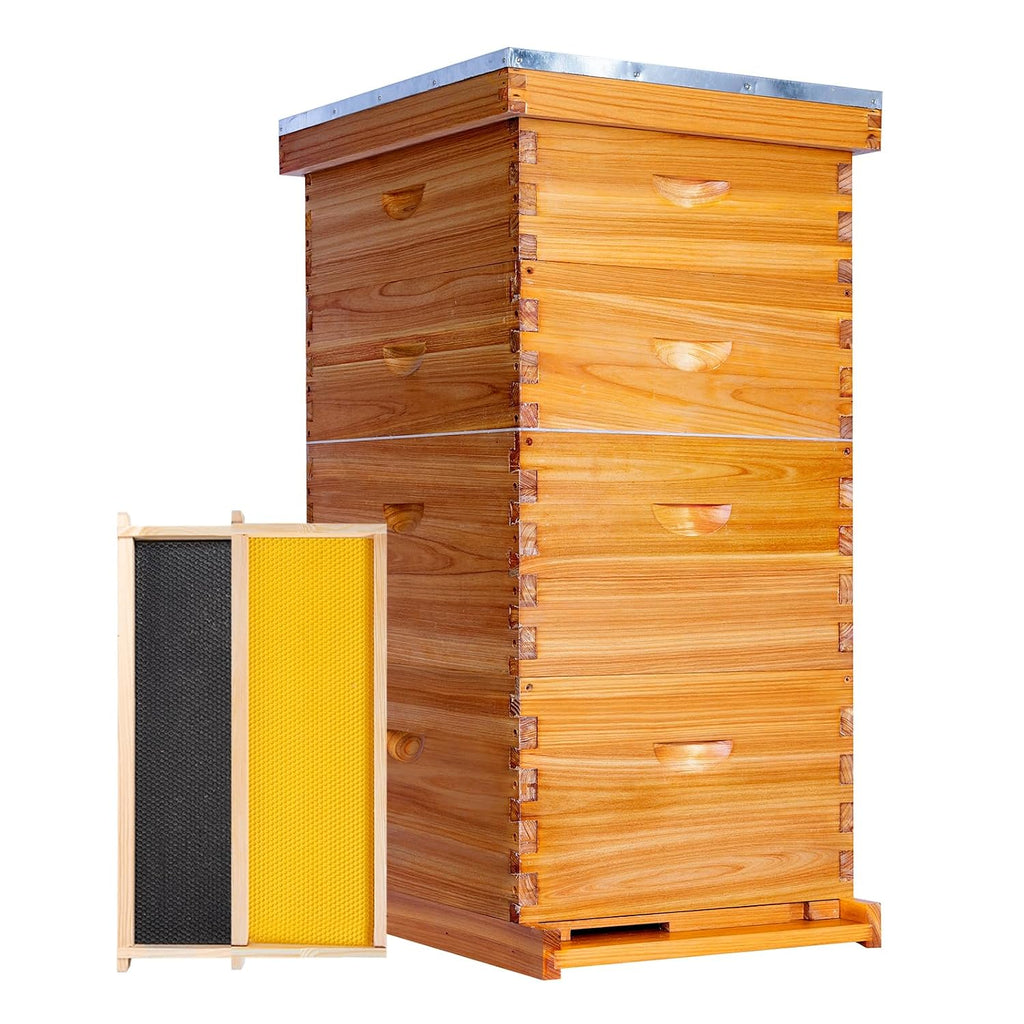 10-Frame Langstroth Beehive Starter Kit, Beeswax Coated Complete Bee Hive Includes 2 Deep Brood Boxes & 2 Medium