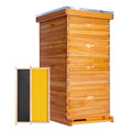 10-Frame Langstroth Beehive Starter Kit, Beeswax Coated Complete Bee Hive Includes 2 Deep Brood Boxes & 2 Medium