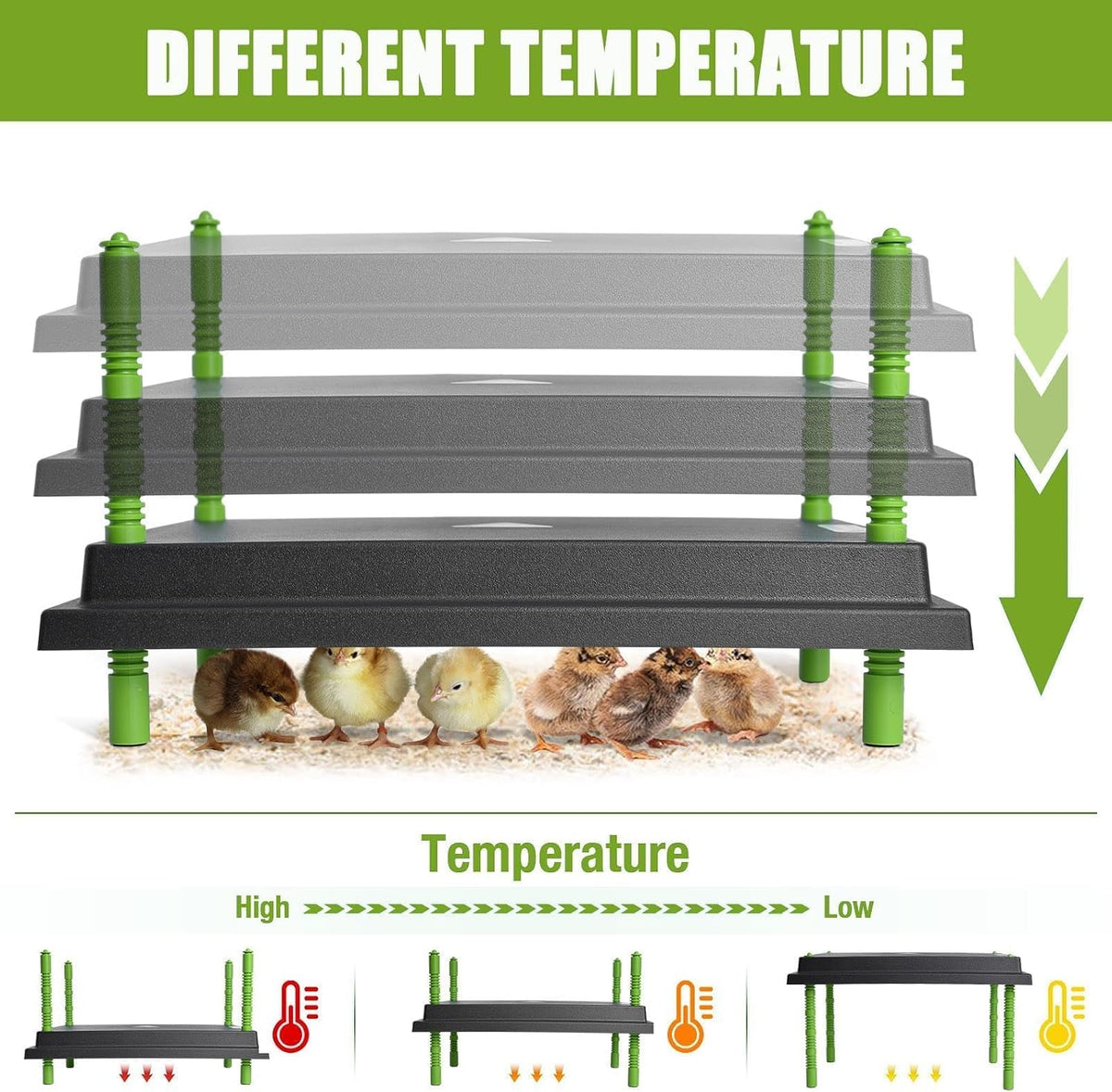 12" x 16" Chick Brooder Heater Plate for 40 Baby Chicks Ducks