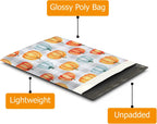10x13 (100) Fall Pumpkin Designer Poly Mailers Waterproof Self Sealing Tear Resistant Polymailers Shipping Envelopes