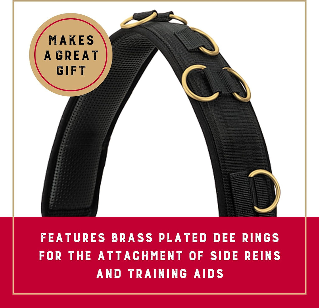 Adjustable Surcingles for Horses with Shock-Absorbing Neoprene, Brass Plated Buckles & Dee Rings for Side Reins, Fits