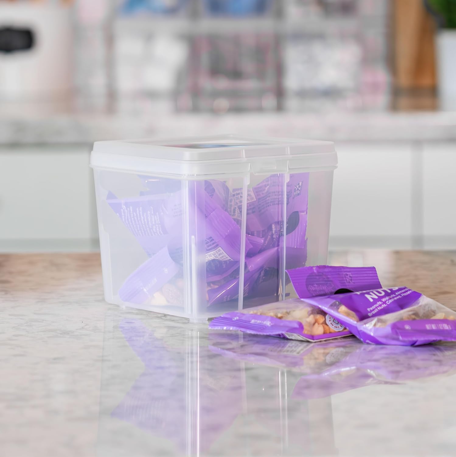 Vertical Storage Bins with Lids |Made in USA| Flip Top Containers for Organizing Pantry, Office, Craft, and Study