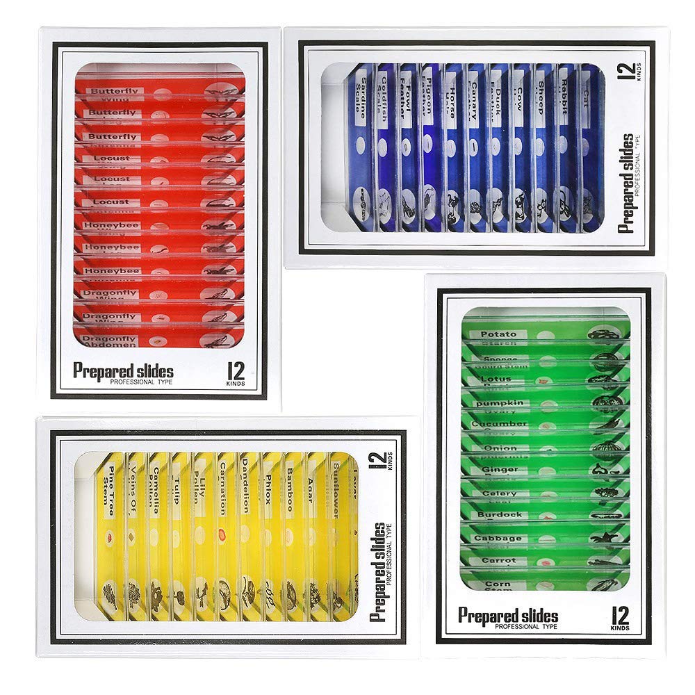 Prepared Microscope Slides, 48pcs Plastic Animals Insects Plants Flowers Sample Specimens