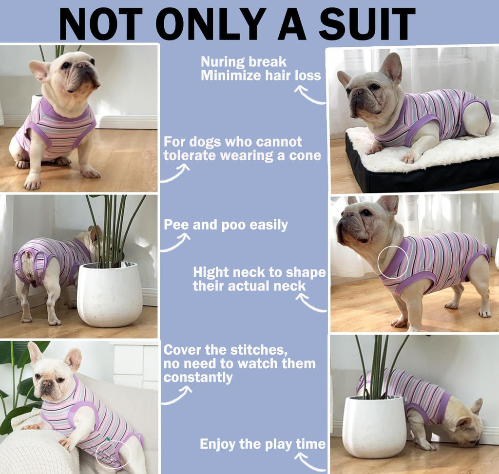 Sebdtico Recovery Suit for Dogs,Dog Surgery Suit Female Spay,Soft Dog Onesie for Surgery Female,Dog Cone Alternative
