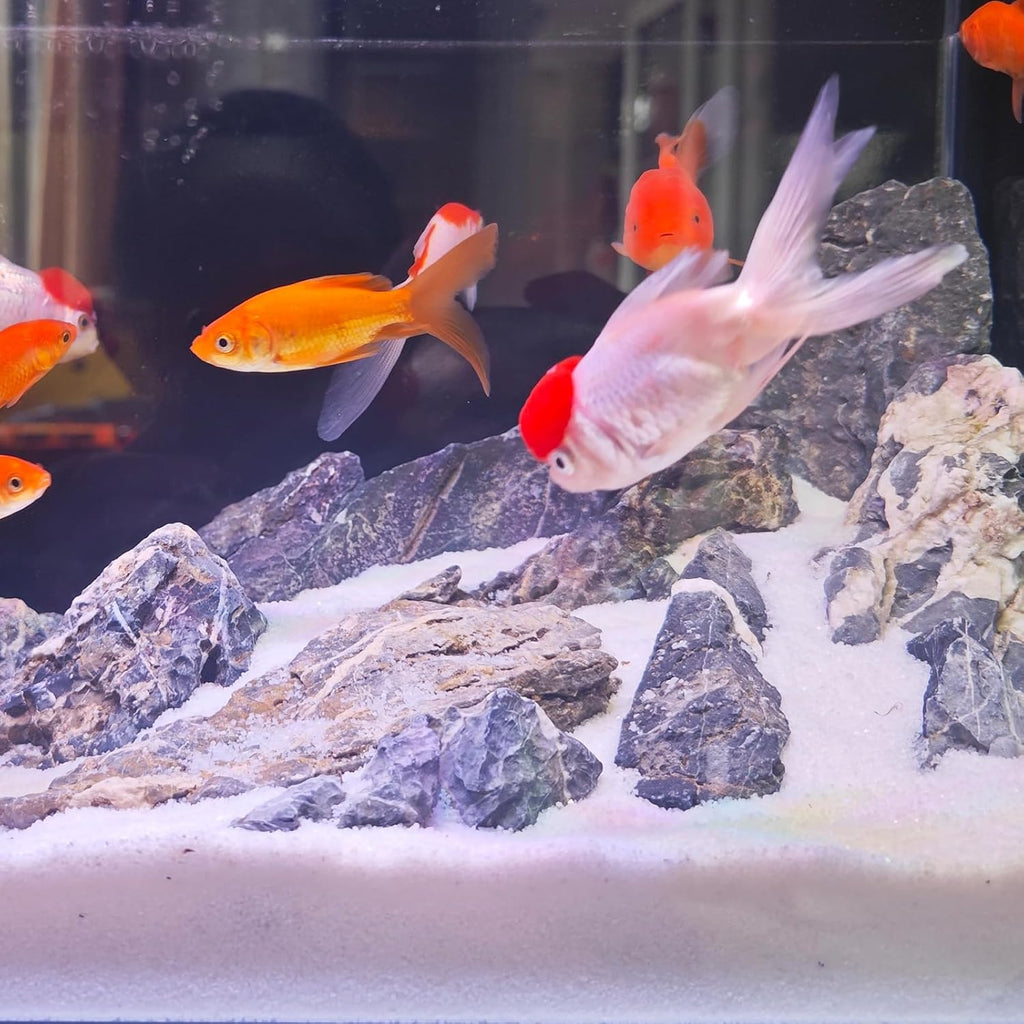 Aquarium Sand, 2lbs White Fish Tank Sand, Aquarium Gravel Substrate