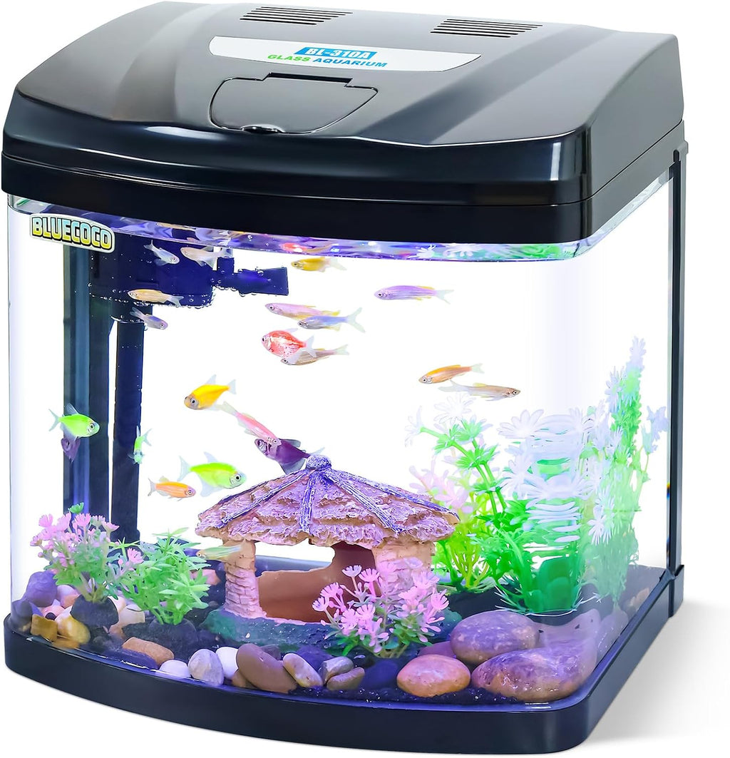 3 Gallon Glass Aquarium Betta Kit with Flip-Top Port