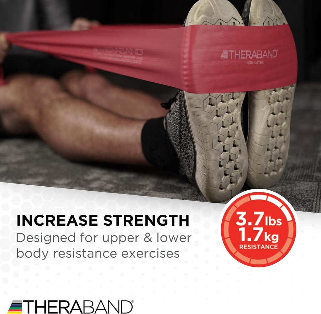 Resistance Bands Set, Elastic Bands for Exercise & Physical Therapy, Strength Training for Upper & Lower Body Fitness