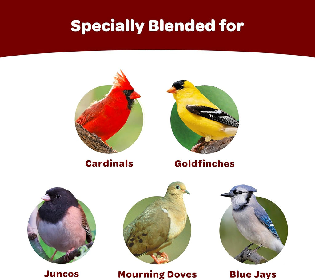 Cardinal Seed Cake, Wild Bird Food, 1.85 Pounds