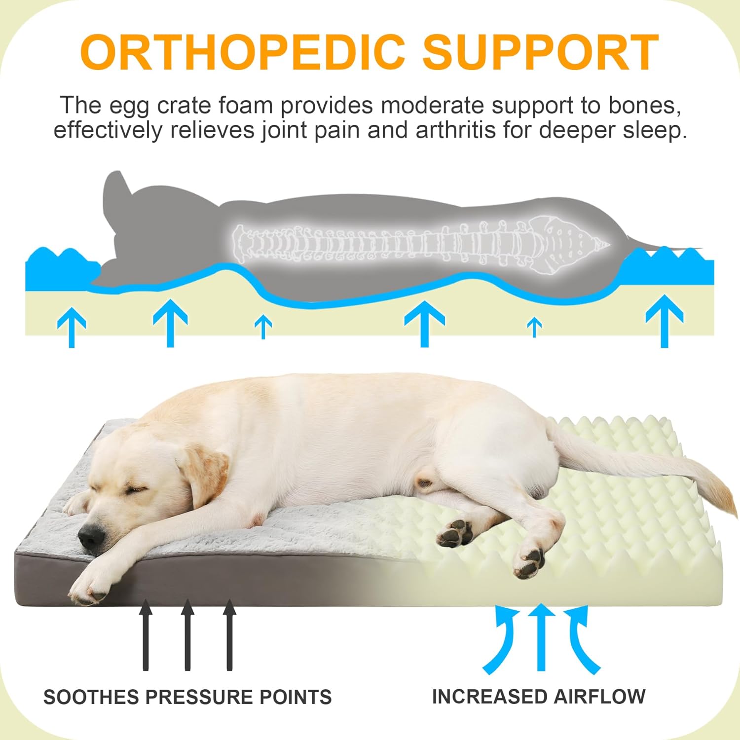 Orthopedic Dog Bed, Waterproof, 41 x 27 Inch, Gray, Deluxe Plush, Removable Cover, Durable Zipper, Orthopedic Foam