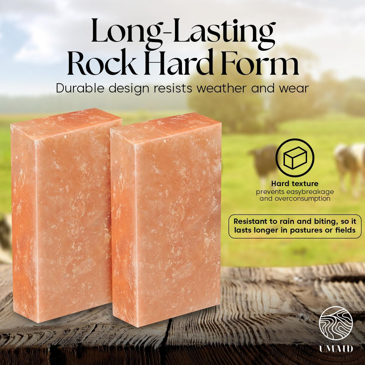 Himalayan Salt Block – 8x4x2 2-Pack – 100% Natural Mineral Salt Lick for Horses, Cows, Goats & Sheep – Animal Feed