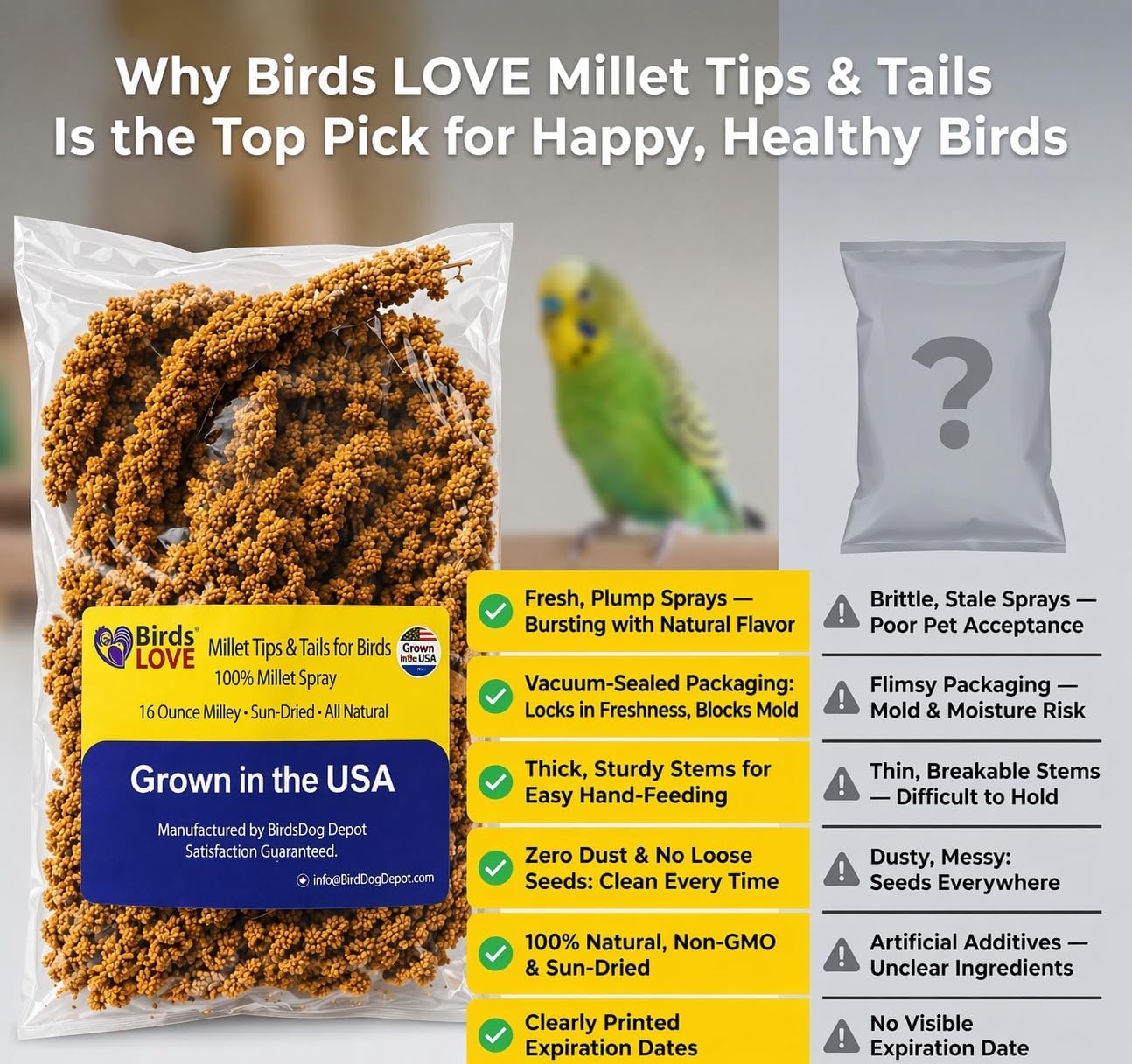 Millet Tips & Tails for Birds – Premium Spray Millet Treat, Grown in the USA – Natural & Healthy Bird Food for