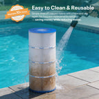 CS100 Pool Filter Replaces Jandy CS100, R0462200