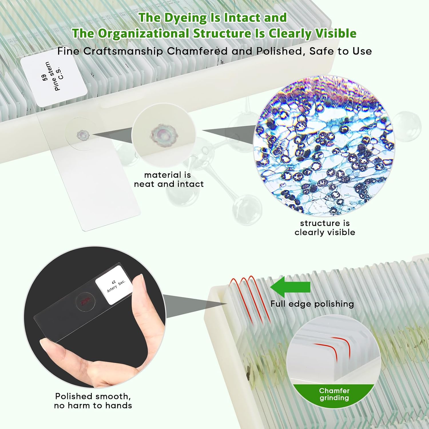 60 Microscope Slides with Specimens,Prepared Microscope Slides for Kids,Glass Slides for Microscope,Prepared Slides