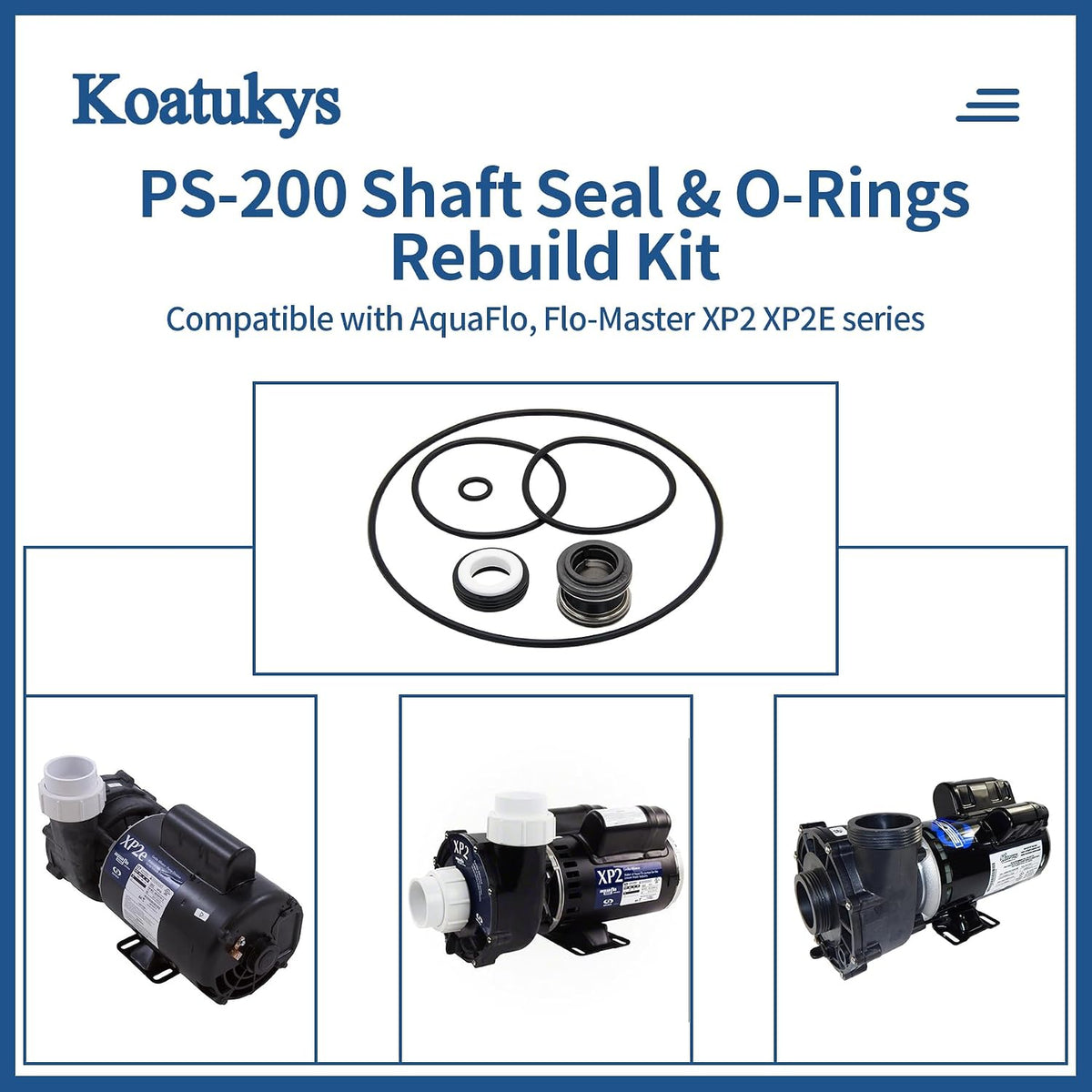 PS-200 5/8" Shaft Seal and O-Ring Rebuild Kit for Aqua-Flo XP2