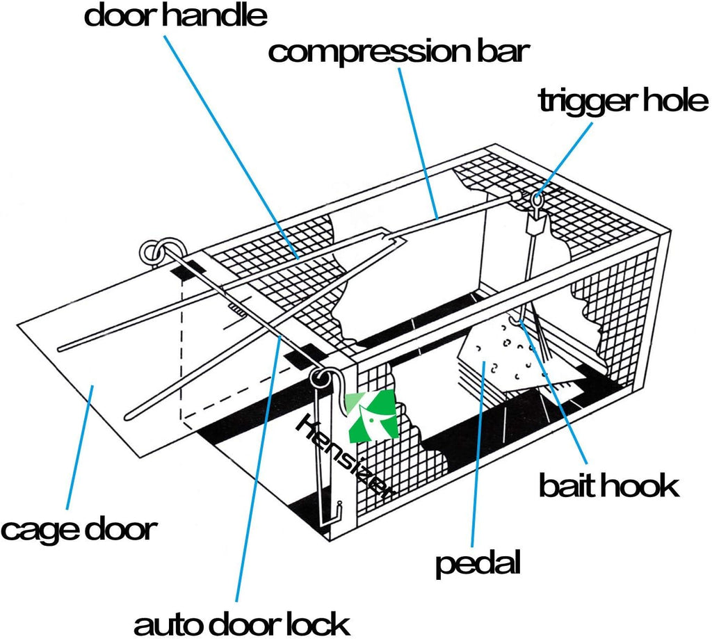 Humane Rat Trap, Small Mouse Traps 10.5" L x 5.5" W x 4.5" H | Chipmunk Rodent Trap, Indoor and Outdoor, Mouse Voles