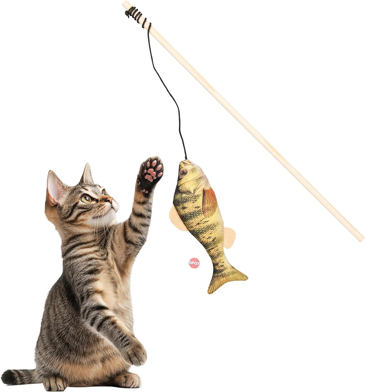 Fanatic Fish Teaser Wand for Cats – Realistic Fish Cat Toy with Catnip and Crinkle, Interactive Wand Toy for Batting