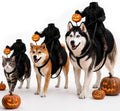 Light-Up Headless Horseman Pet Costume with Pumpkin Rider Harness, Small