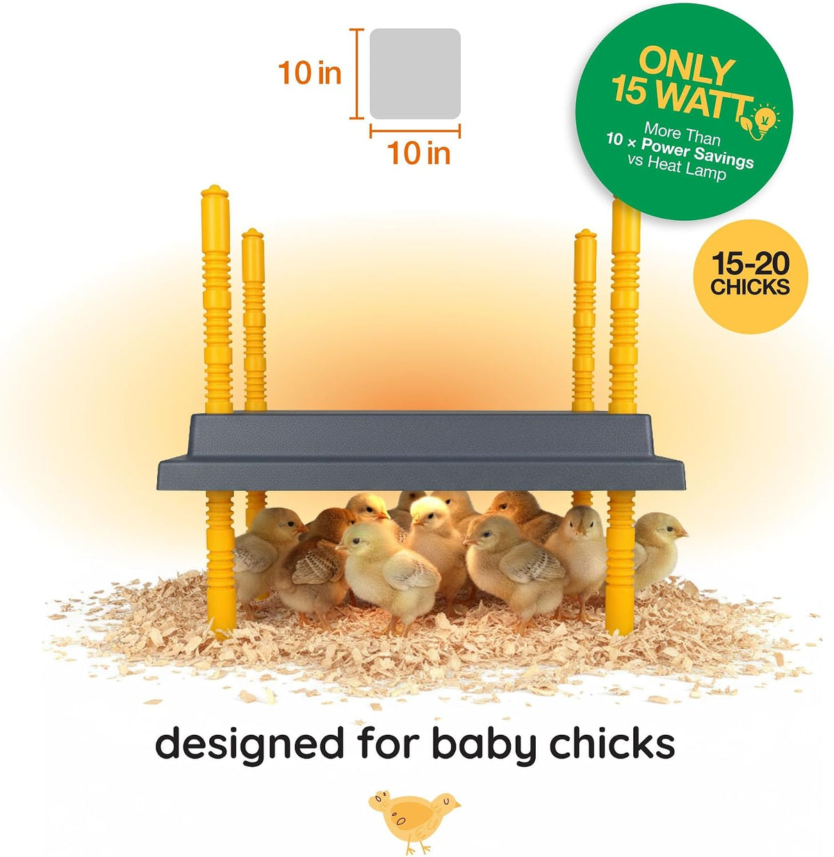 Warmzy Chick Brooder Plate 10 x 10-inch 15W for 15-20 Chicks