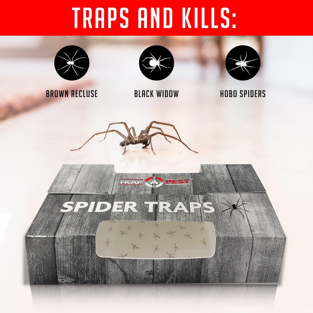 Trap a Pest Indoor Sticky Spider Traps - Glue Traps - 16 Pack