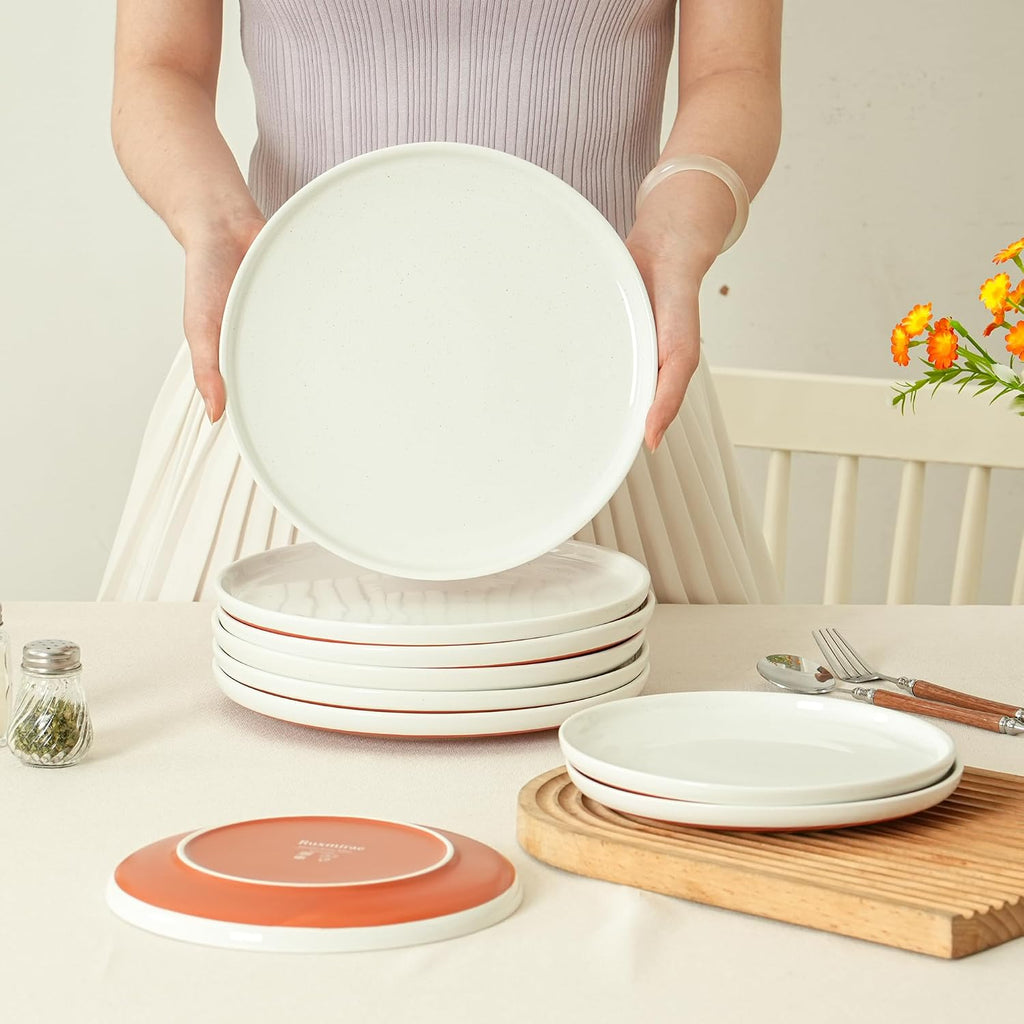 6 Piece Dinnerware Set, Dish Set for 2, Stardust Glaze White