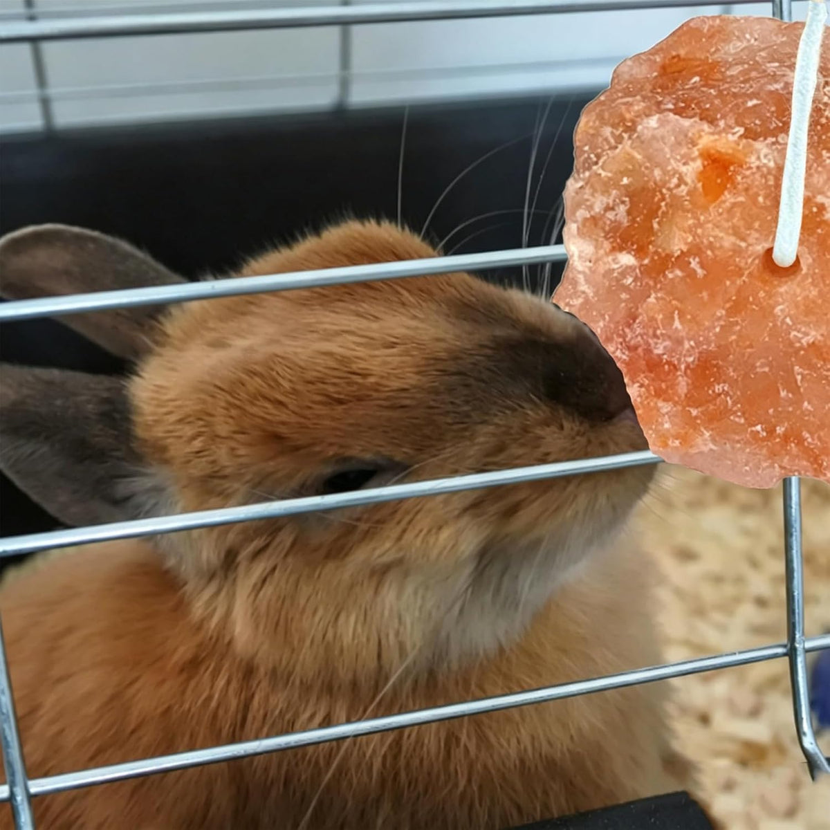 Rabbit Himalayan Salt Lick Block,Small Animals Chew Toys Rabbits Pink Natural Mineral Salts Blocks for Horses Bunny(8