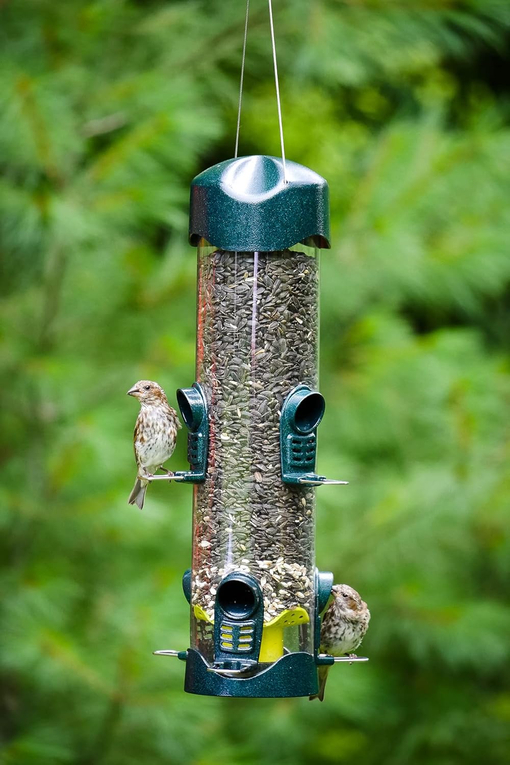 Mega 600 Bird Feeder – Large Capacity Tube Feeder for Wild Birds, 6 Feeding Ports, 4 lb Seed Capacity, Easy to Clean