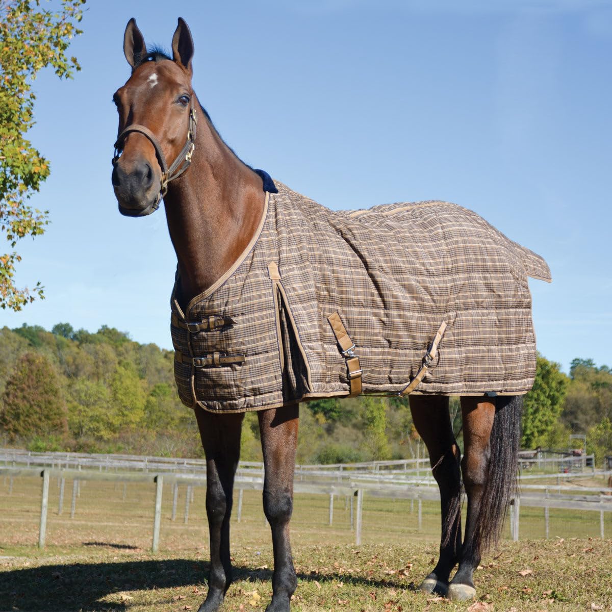 Highland 1200D Lightweight Stable Blanket (78, BlackPlaid)