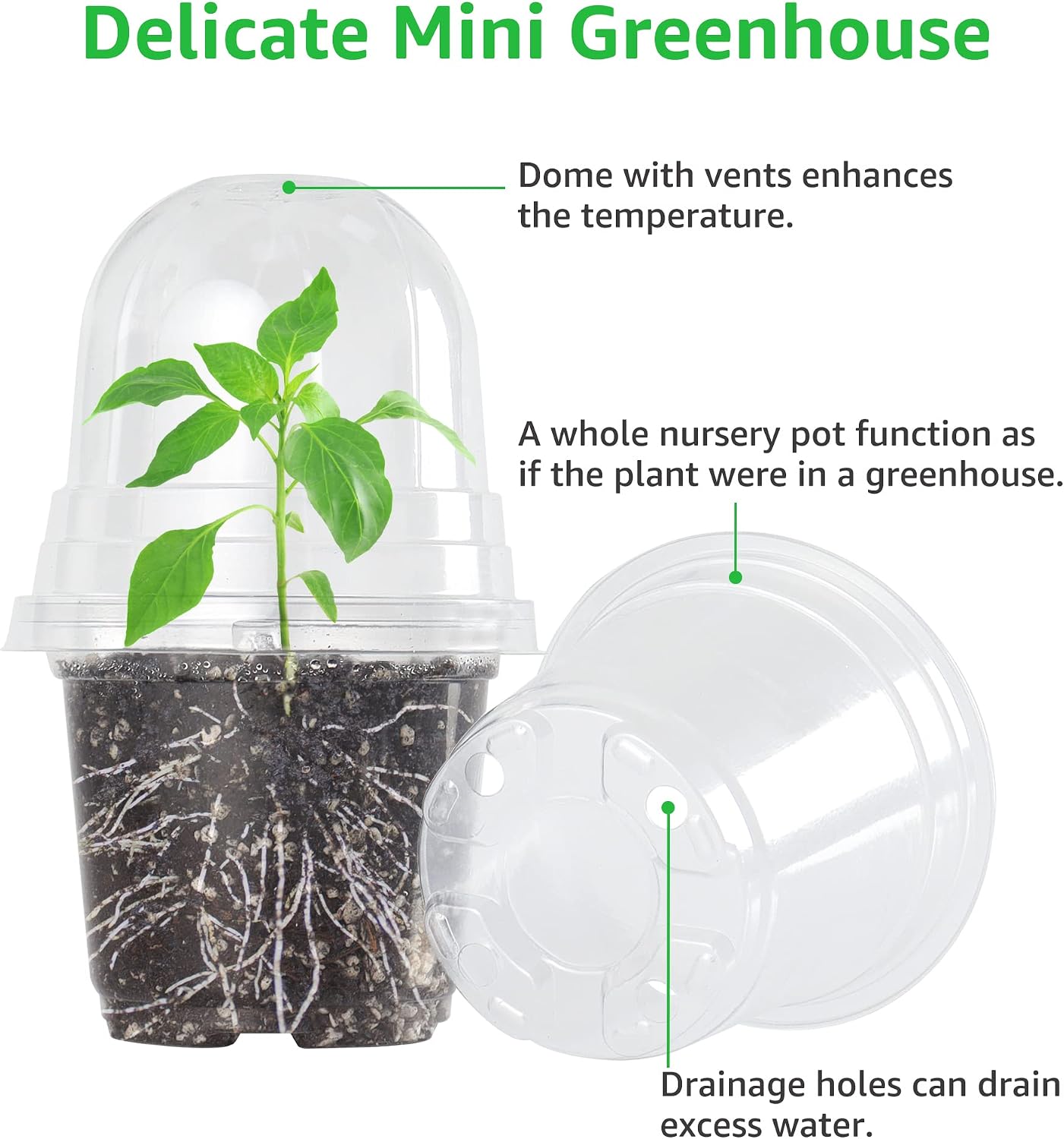 Clear Nursery Pots with Humidity Domes, 3.5/4/5 Inch, 36-Pack | Clear PET, 12 Each of 3 Sizes, Root and Moisture