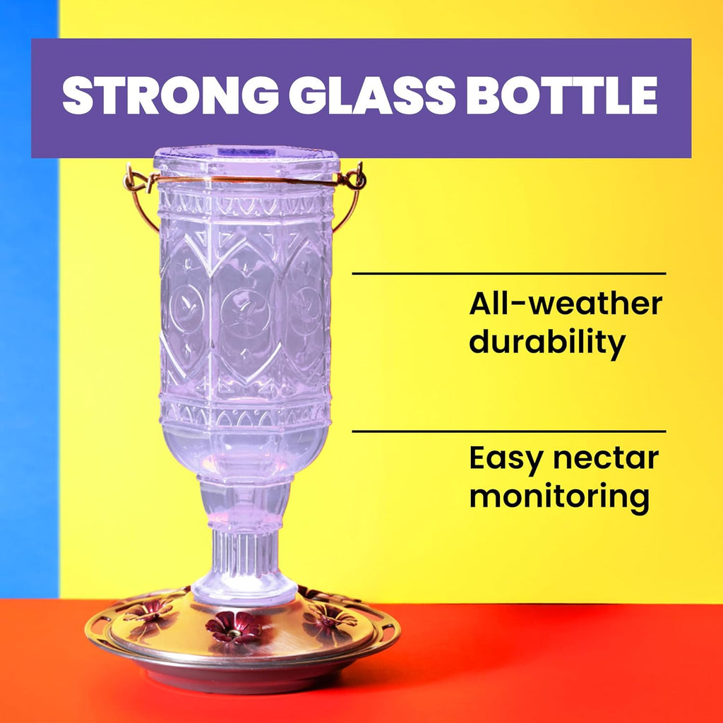 Amethyst Jewel Hummingbird Feeder - 77IN - 20 Fl Oz Nectar Capacity - Hummingbird Feeder for Outdoors - Feed 5