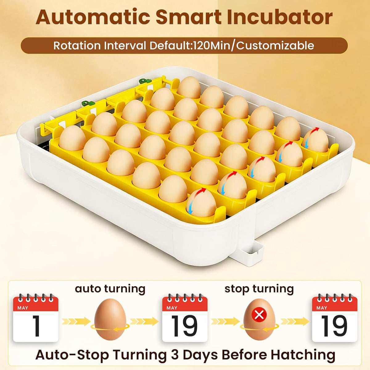 Incubators for Hatching Eggs, 30 Chicken Eggs Incubator with Automatic Egg Turning, Dual Power Supply, Egg Candler